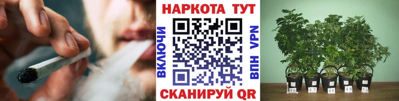 Как найти наркотики Кизел Бошки Шишки  СК  Гашиш 