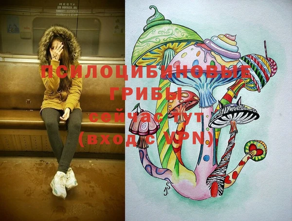 скорость Каменногорск