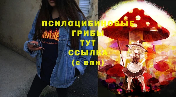 скорость Каменногорск
