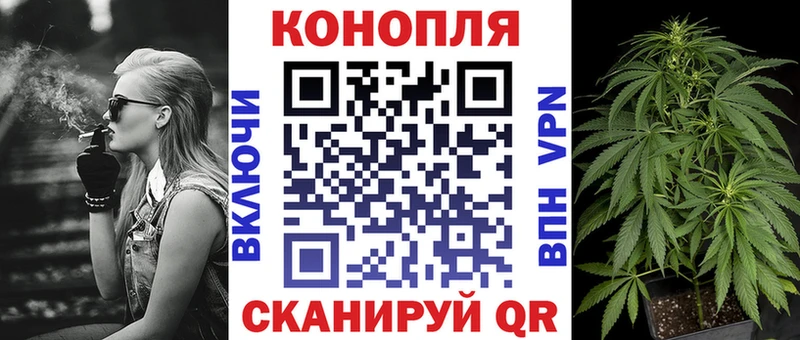 omg ссылка  Кизел  Бошки Шишки гибрид  дарнет шоп 